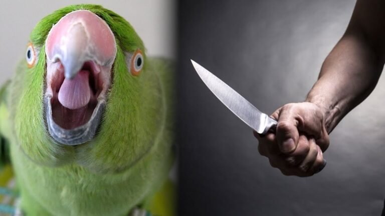 What Are Parrots Predators?