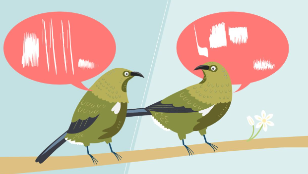 Scientific Explanation of Birds Chirping 