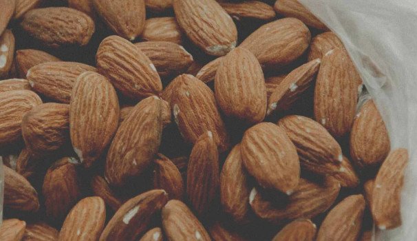 Benefits of Giving Almonds to Parrots