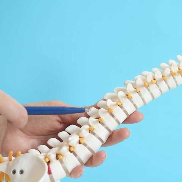 OsteoPur