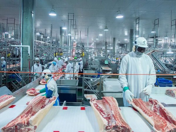 dalian chuming meat processing