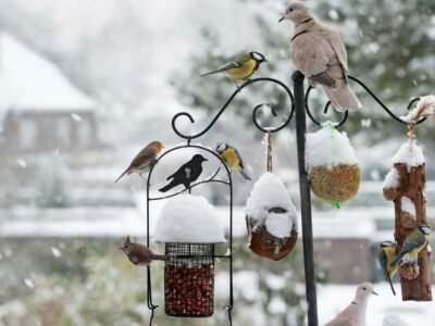 Article Recommendations by Birdandwings